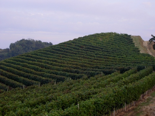 Veduta del paesaggio di Alice bel colle