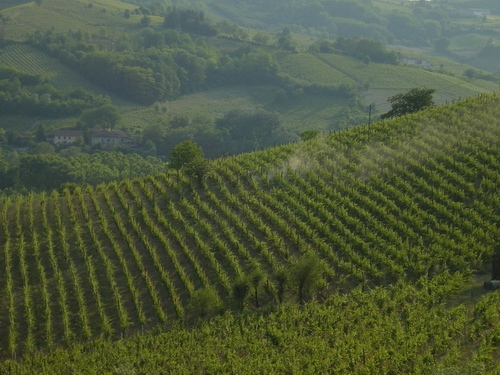 Veduta del paesaggio di Alice bel colle