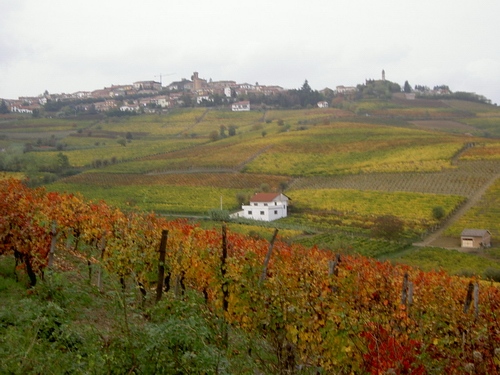 Veduta del paesaggio di Alice bel colle