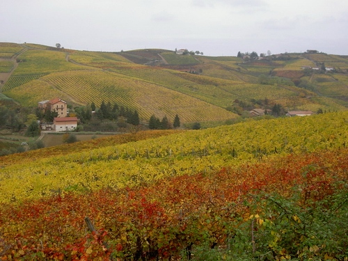 Veduta del paesaggio di Alice bel colle