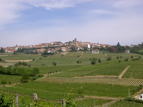 Veduta del paesaggio di Alice bel colle