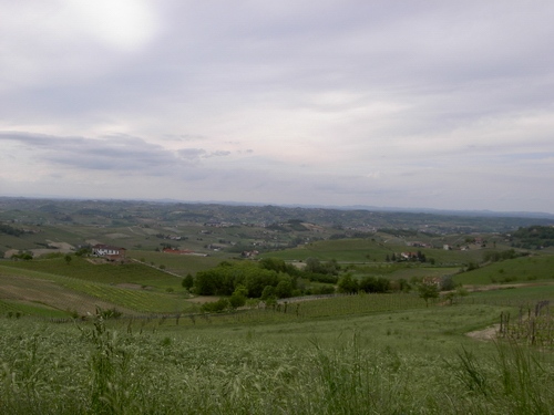 Veduta del paesaggio di Alice bel colle
