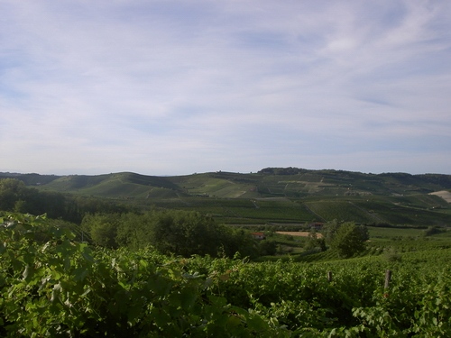 Veduta del paesaggio di Alice bel colle