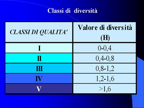 Relazione su: Nuove metodologie di studio del paesaggio agrario di Dott.ssa Dora Remotti e Walter Gaino (Facoltà di Agraria dell'Università di Torino)