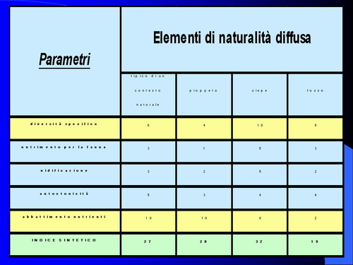 Relazione su: Nuove metodologie di studio del paesaggio agrario di Dott.ssa Dora Remotti e Walter Gaino (Facoltà di Agraria dell'Università di Torino)