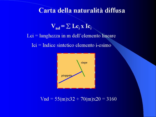 Relazione su: Nuove metodologie di studio del paesaggio agrario di Dott.ssa Dora Remotti e Walter Gaino (Facoltà di Agraria dell'Università di Torino)