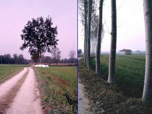 Relazione su: Nuove metodologie di studio del paesaggio agrario di Dott.ssa Dora Remotti e Walter Gaino (Facoltà di Agraria dell'Università di Torino)