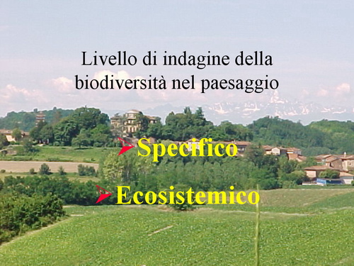 P.a. Franco Picco (Responsabile Progetto Biomonf - Atlante informatico della biodiversità delle colline del Monferrato) - Relazione su: Biodiversità del paesaggio nel Monferrato.