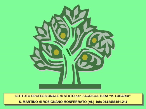 Relazione del Prof. Giancarlo Durando (Docente Istituto Professionale di Stato per l