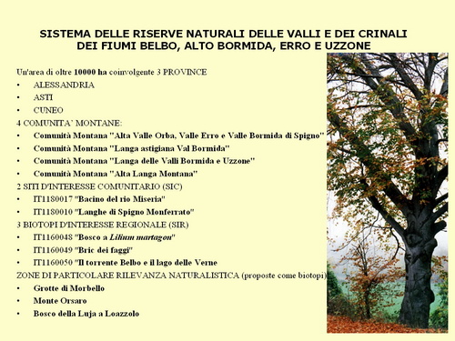 Presentazione "Una proposta concreta di tutela della natura e del paesaggio nel basso Piemonte"