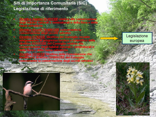 Presentazione "Una proposta concreta di tutela della natura e del paesaggio nel basso Piemonte"