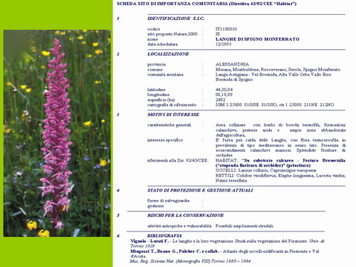 Presentazione "Una proposta concreta di tutela della natura e del paesaggio nel basso Piemonte"
