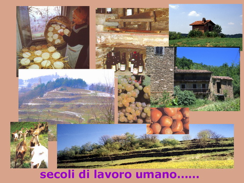 Presentazione "Una proposta concreta di tutela della natura e del paesaggio nel basso Piemonte"