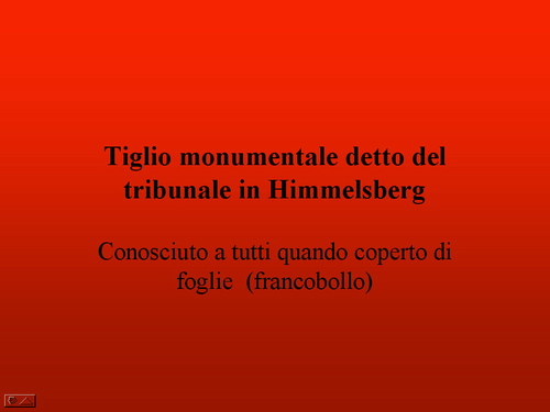 Prof.ssa Martina Natesser Oldengott (Dipartimento per la conservazione del verde storico e del paesaggio. Università di Kassel - Germania) - Relazione su: Paesaggi culturali storici come motore del turismo nello sviluppo rurale. 
