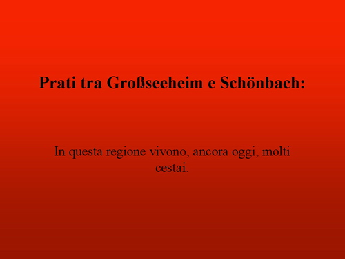 Prof.ssa Martina Natesser Oldengott (Dipartimento per la conservazione del verde storico e del paesaggio. Università di Kassel - Germania) - Relazione su: Paesaggi culturali storici come motore del turismo nello sviluppo rurale. 
