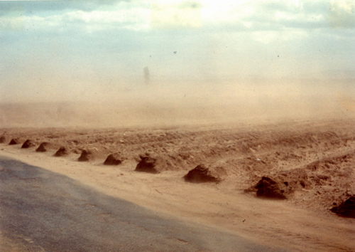 Am Anfang war der Sand Spargelflaechen in der Germarkung Griesheim bei westwind.