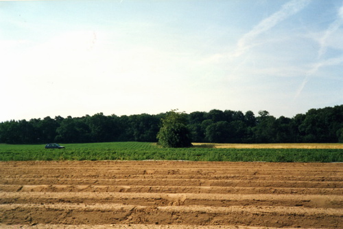  Blick von der Germarkung Griesheim auf Flaechen des Eichwaldhofes.