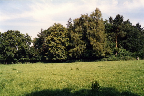  Waldweide