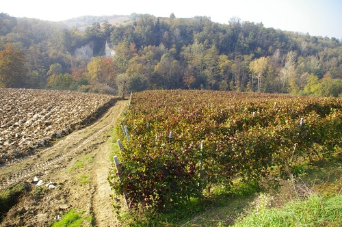 Veduta della Valle del rio Bragna tra Costigliole d'Asti ed Isola d'Asti.