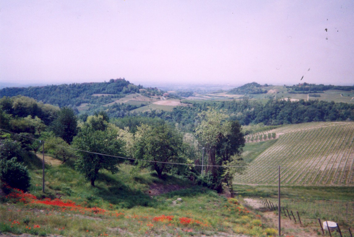 Paesaggio agrario di Castelnuovo Don Bosco