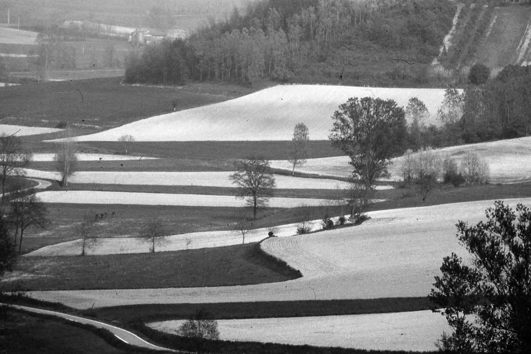 Bel paesaggio agrario tra Corsione e Villa San Secondo (AT)