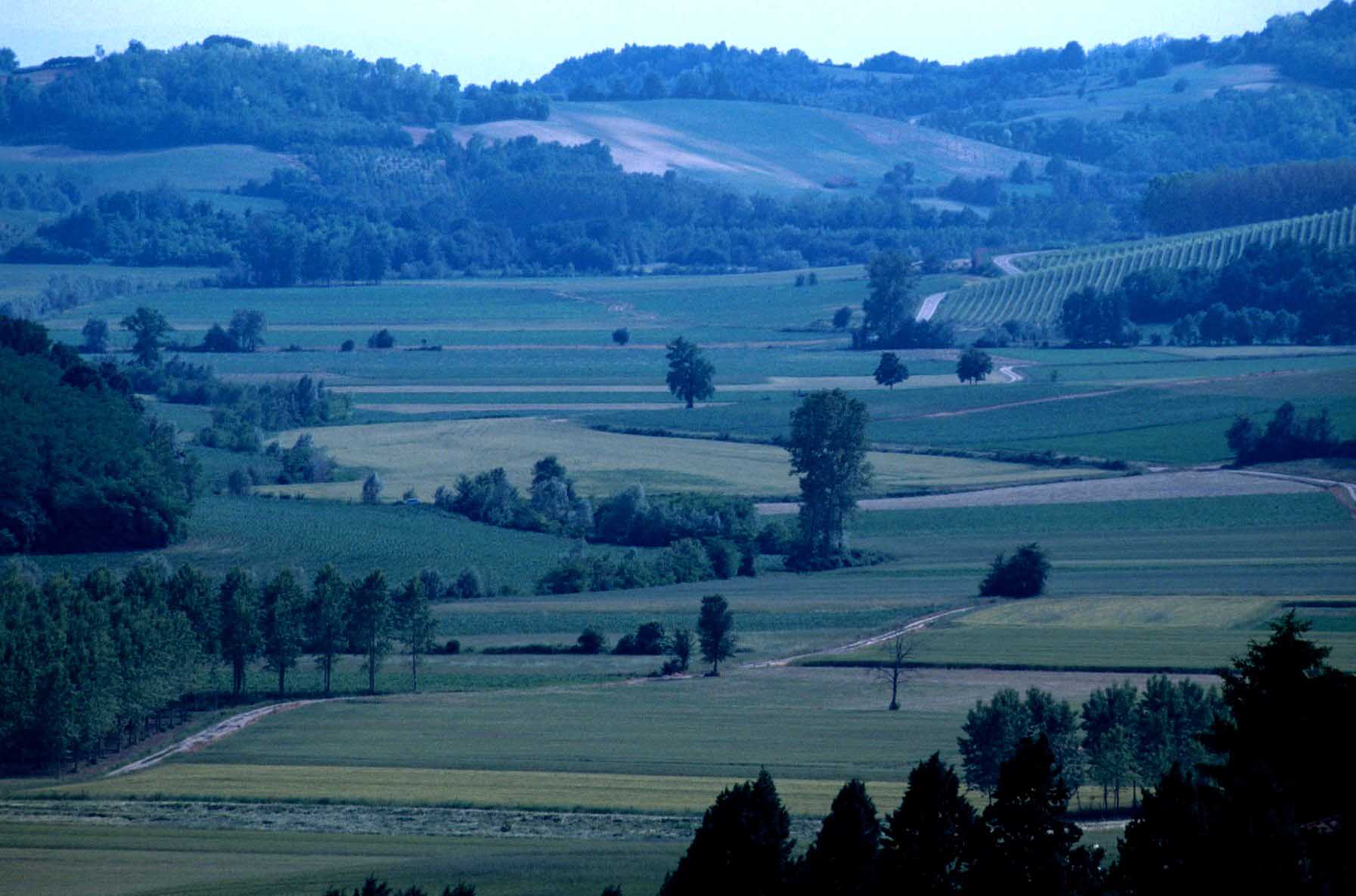 Paesaggio agrario del Monferrato