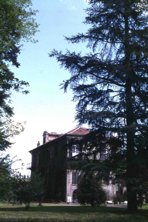  Veduta della Villa dei Conti Bonaccorsi, immersa nella ricca e rigogliosa vegetazione del parco.