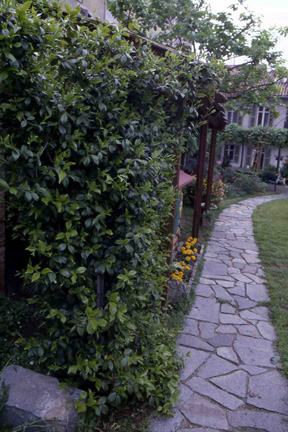 Veduta del sentiero centrale del giardino di Casa Giovara.