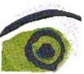 Logo Osservatorio del Paesaggio per il Monferrato e l'Astigiano