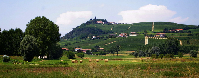 Veduta del paesaggio viticolo di Costigliole d'Asti.