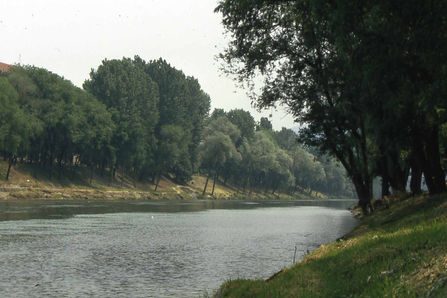 Veduta del Fiume Po nel tratto Torinese