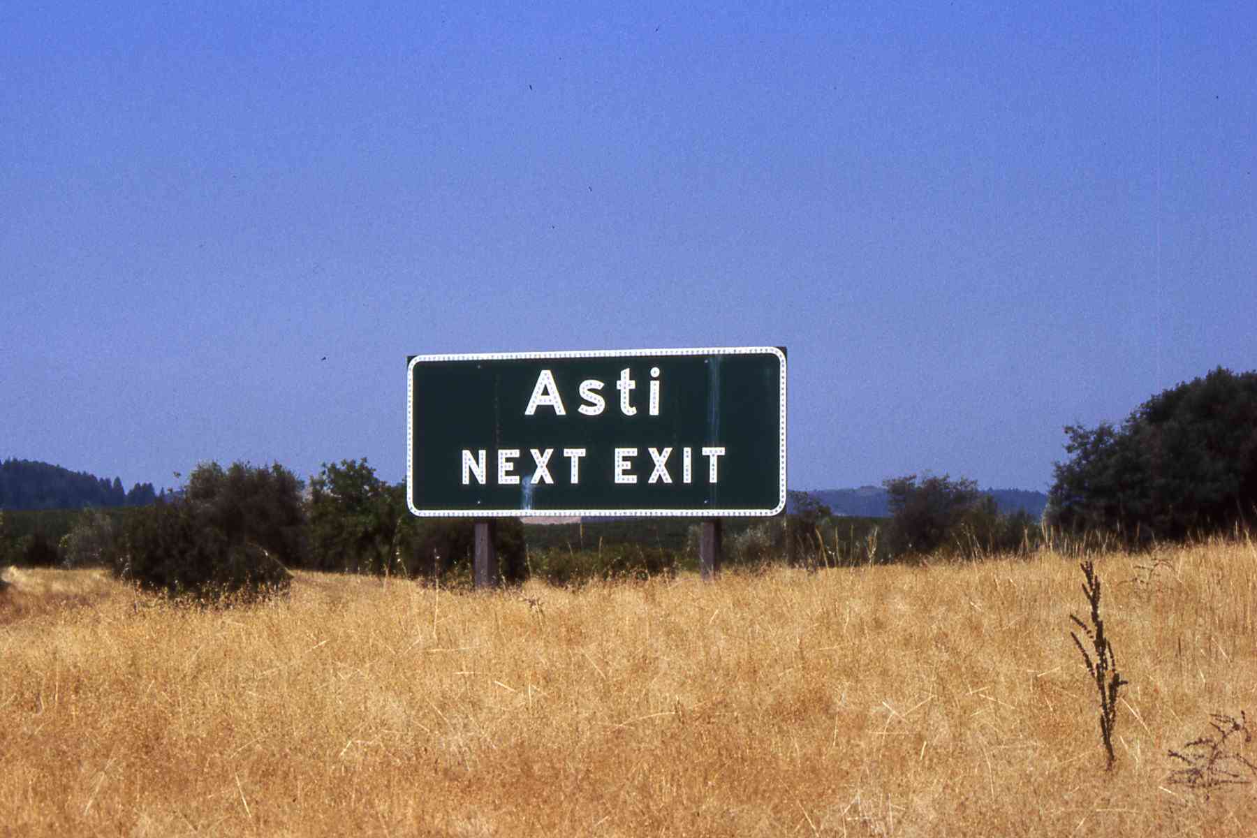 Ciascun paesaggio è unico e storicamente irripetibile: veduta di paesaggi "astigiani" dOltreoceano (Asti - California USA).