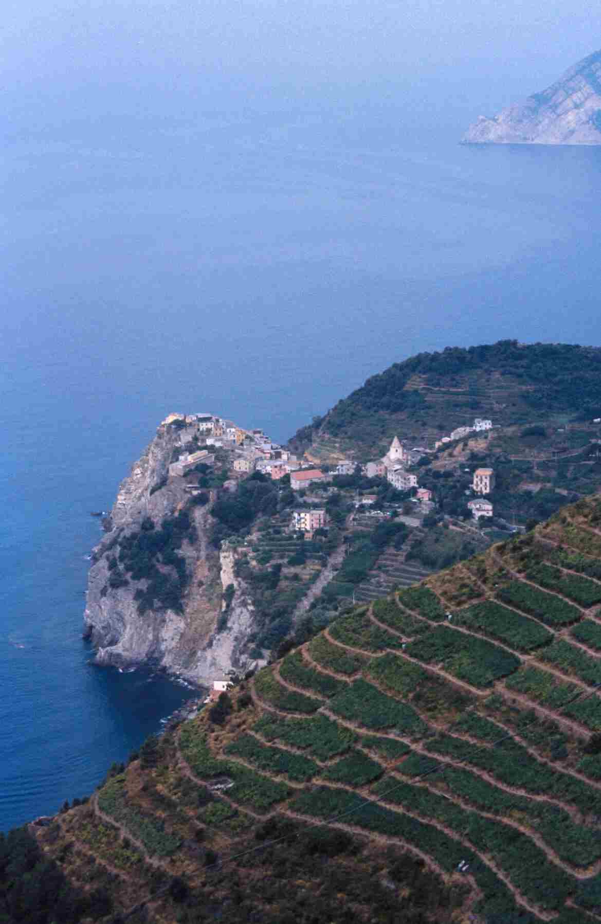 Veduta dello straordinario paesaggio delle Cinque terre, dichiarato Patrimonio dell'Umanità dallUnesco e caratterizzato da una estesa coltivazione della vite (Borgo di 