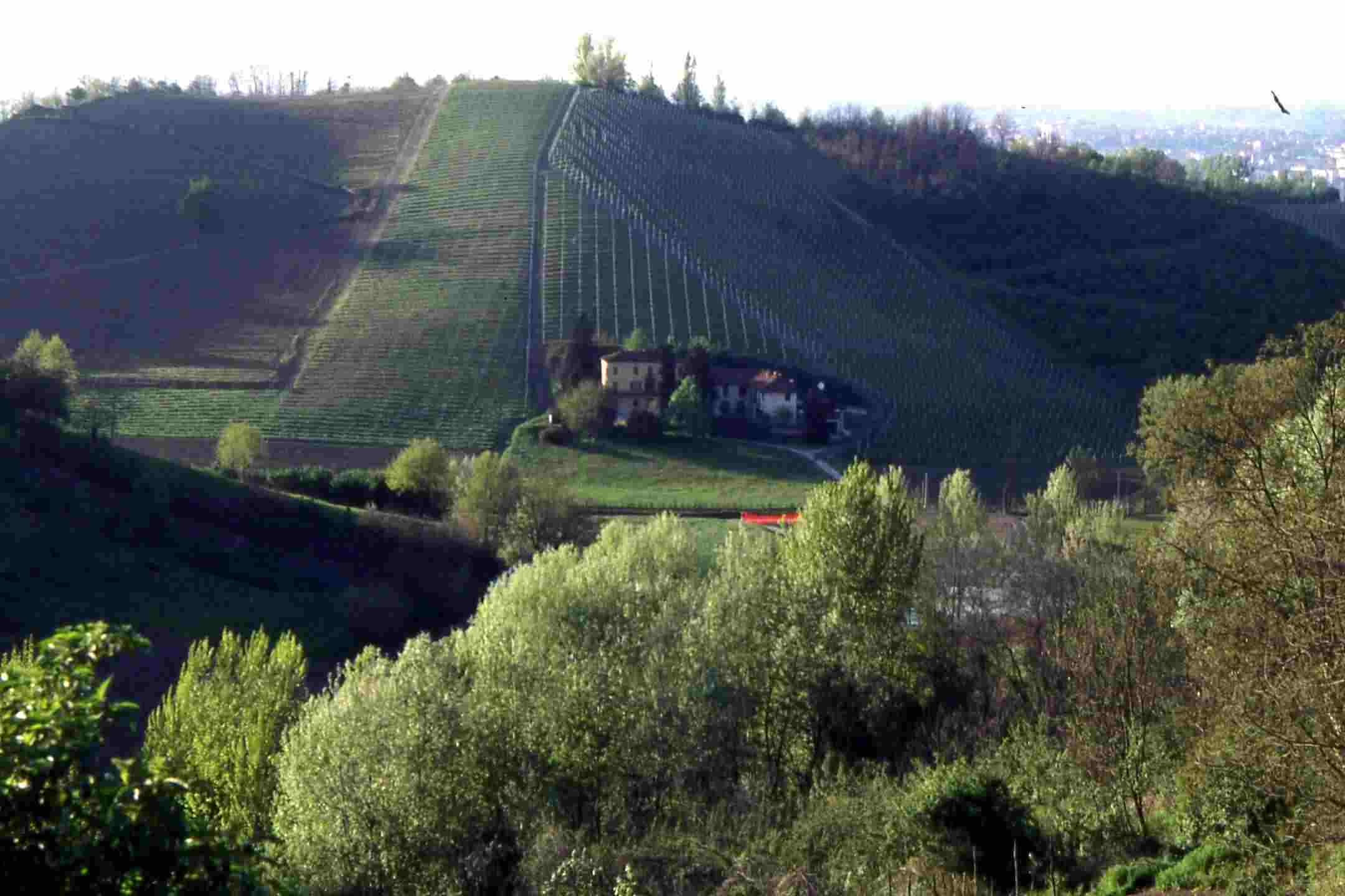 La tutela dei "coni visuali" presenti nel territorio astigiano rappresenta una priorità inderogabile per una effettiva tutela del paesaggio, conseguibile superando le interruzioni amministrative costituite dai confini comunali (Val Donata - San Marzanotto - Asti).