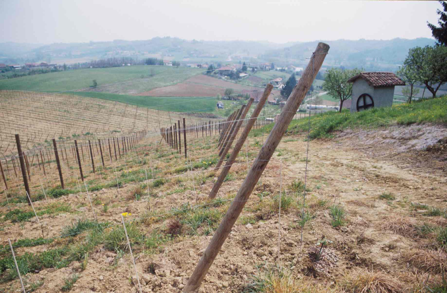 Nuovi vigneti realizzati da aziende ancora operative sul territorio astigiano