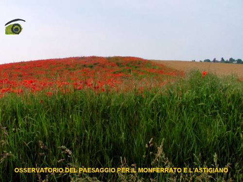PRESENTAZIONE a cura di Paola Grassi su "Preoccupazioni e prospettive sulle ville e il relativo campo da golf a Valdeperno".