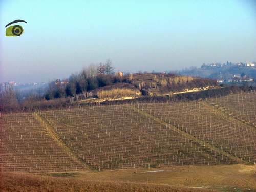 PRESENTAZIONE a cura di Paola Grassi su "Preoccupazioni e prospettive sulle ville e il relativo campo da golf a Valdeperno".