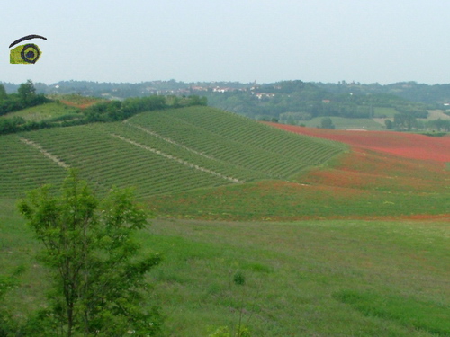 PRESENTAZIONE a cura di Paola Grassi su "Preoccupazioni e prospettive sulle ville e il relativo campo da golf a Valdeperno".