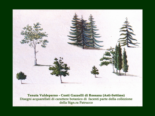 PRESENTAZIONE a cura di Paola Grassi su "Preoccupazioni e prospettive sulle ville e il relativo campo da golf a Valdeperno".