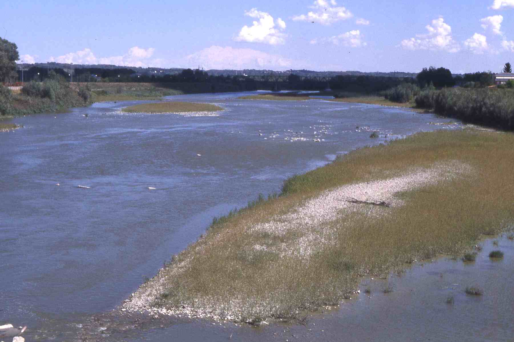 Veduta del fiume Tanaro (AT)