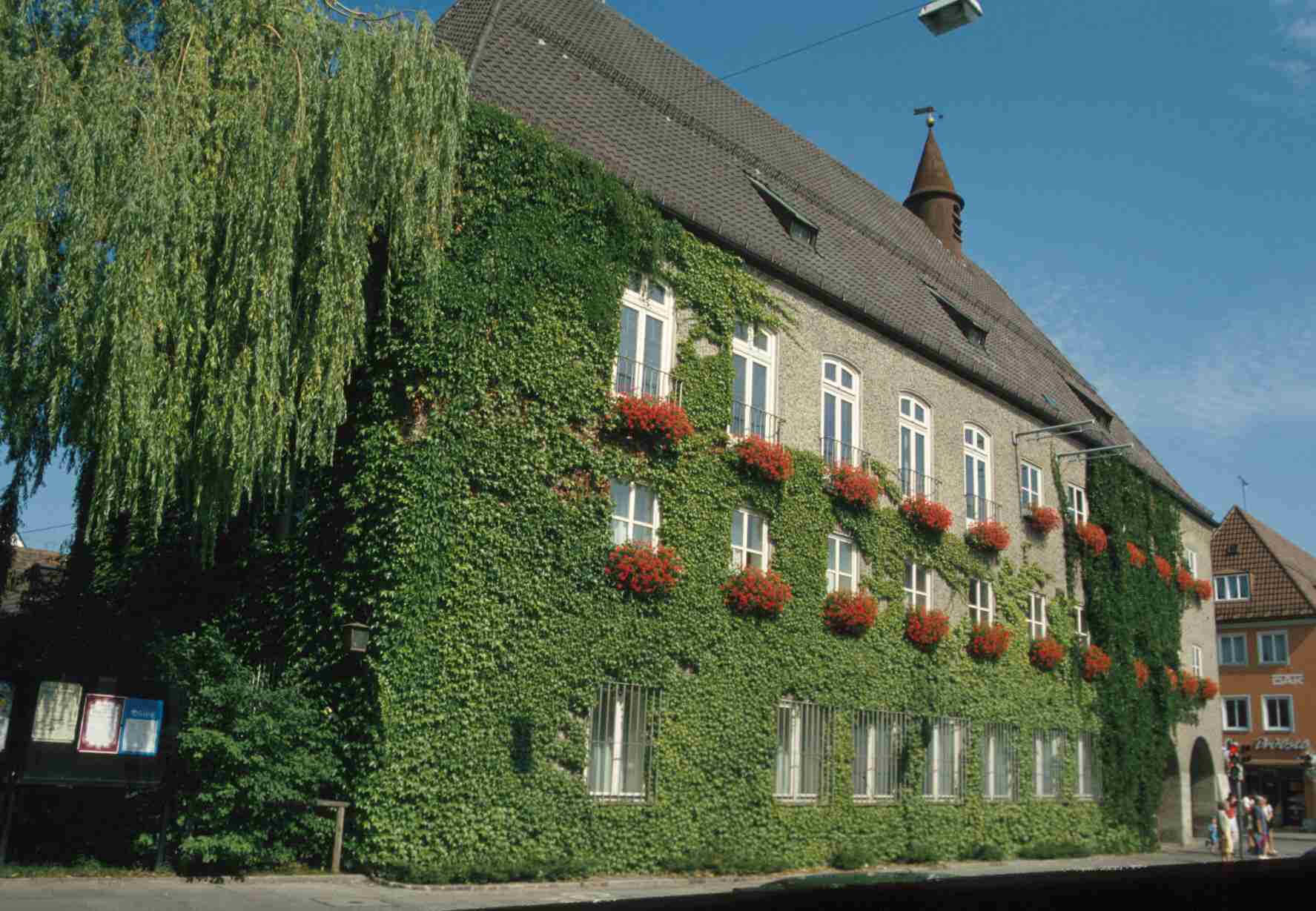 Il verde parietale per la bioarchitettura