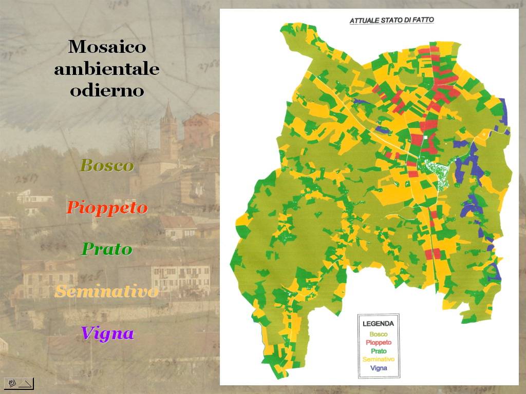 Tesi di Laurea "STORIA E VALORIZZAZIONE DEL PAESAGGIO AGRARIO ASTIGIANO: IL COMUNE  DI CORTAZZONE" di Stefano  Capusso