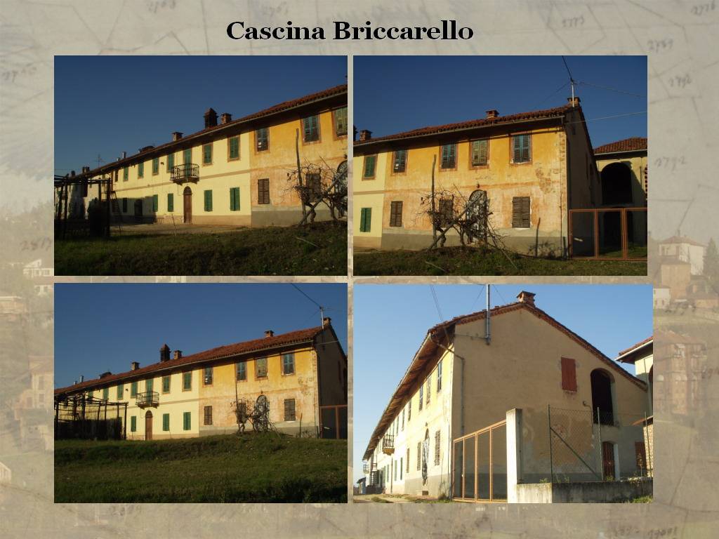 Tesi di Laurea "STORIA E VALORIZZAZIONE DEL PAESAGGIO AGRARIO ASTIGIANO: IL COMUNE  DI CORTAZZONE" di Stefano  Capusso