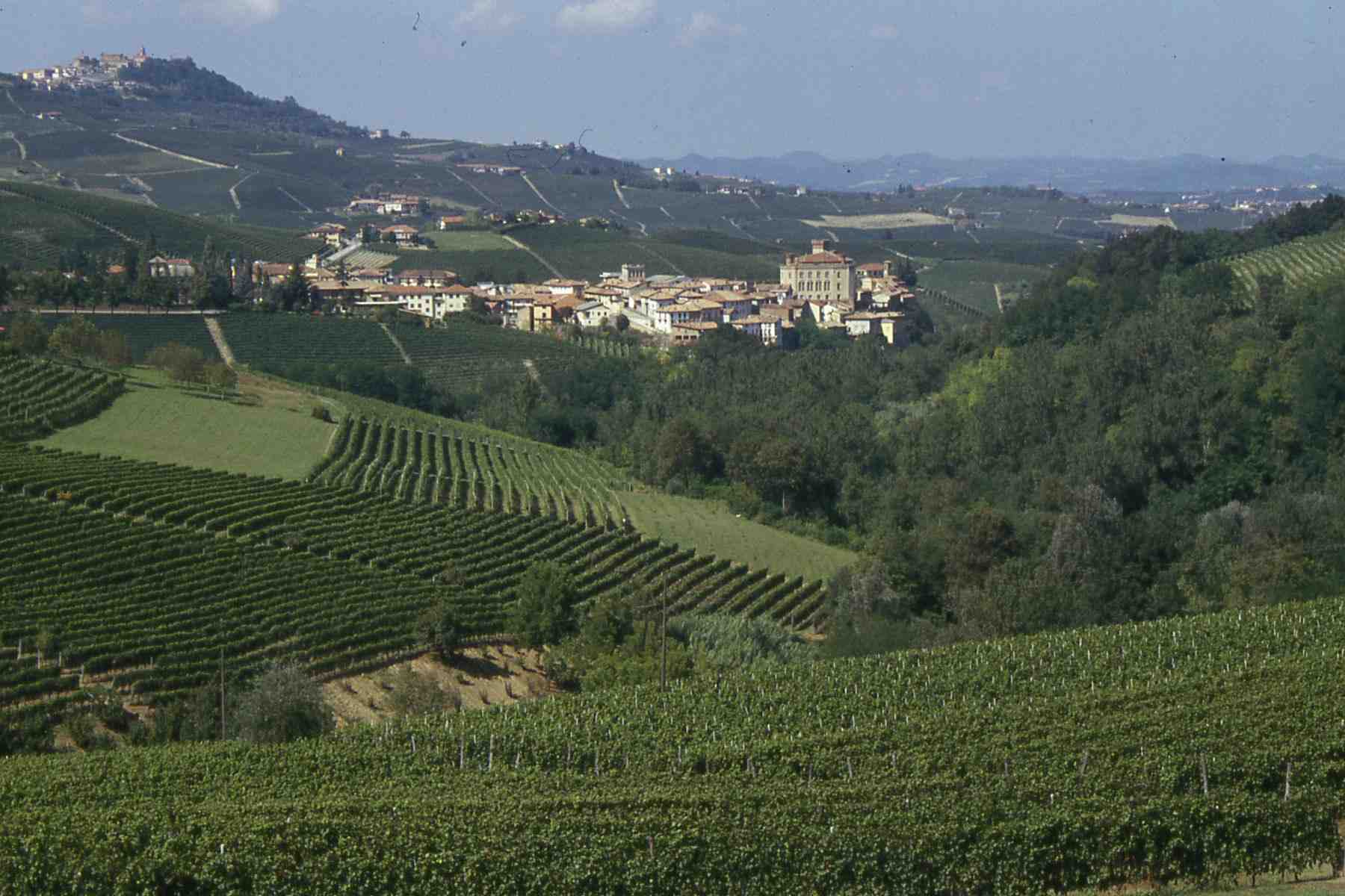 Veduta di uno dei più tipici paesaggi viticoli delle Langhe (Comune di Baolo)