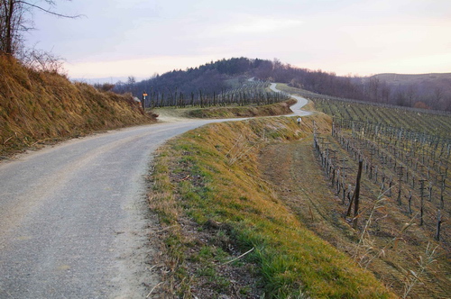 Veduta dello straordinario paesaggio agrario tra Vinchio e Cortiglione: un patrimonio da custodire e conservare in modo geloso e lungimirante.