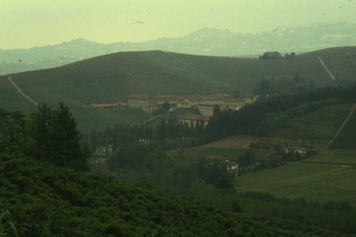 Veduta del paesaggio viticolo tipico della zona delle Langhe