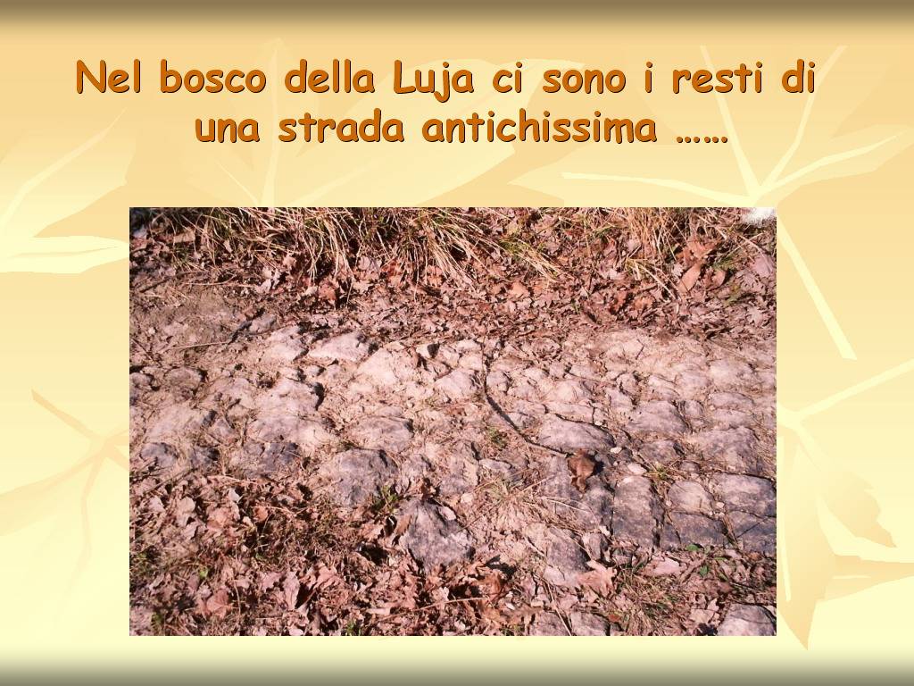 Progetto di Educazione Ambientale "Territorio, Paesaggio, Patrimonio naturale dell
