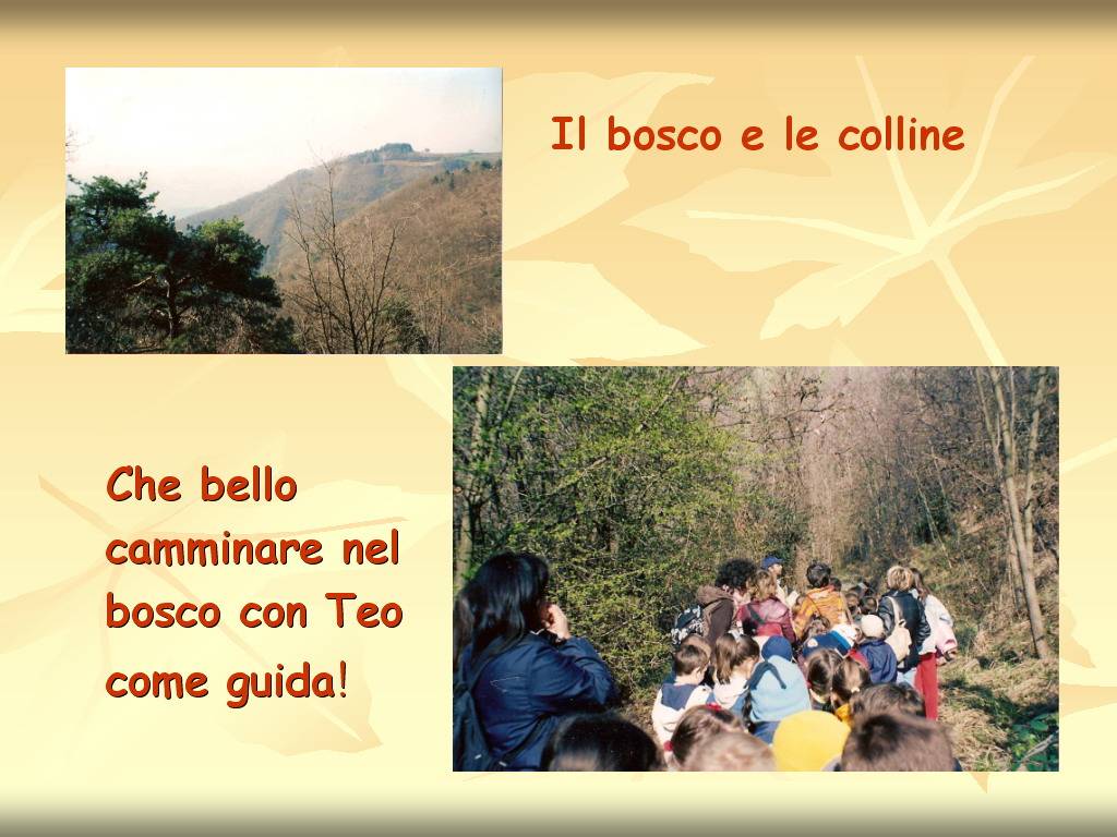 Progetto di Educazione Ambientale "Territorio, Paesaggio, Patrimonio naturale dell
