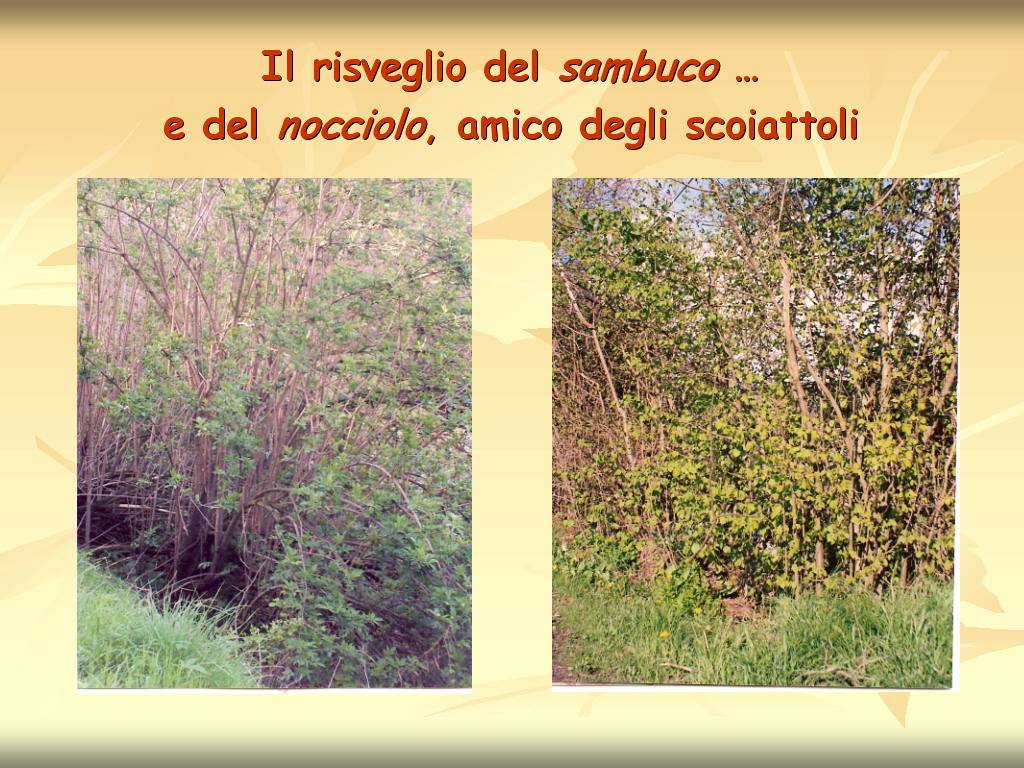 Progetto di Educazione Ambientale "Territorio, Paesaggio, Patrimonio naturale dell