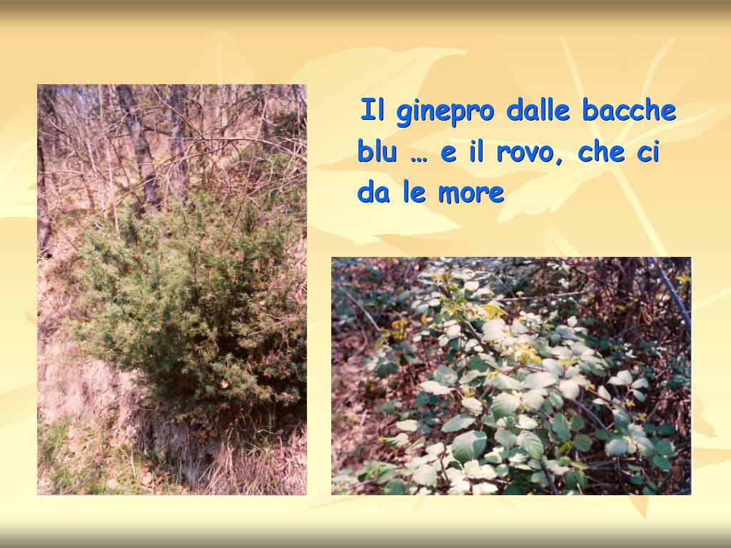 Progetto di Educazione Ambientale "Territorio, Paesaggio, Patrimonio naturale dell
